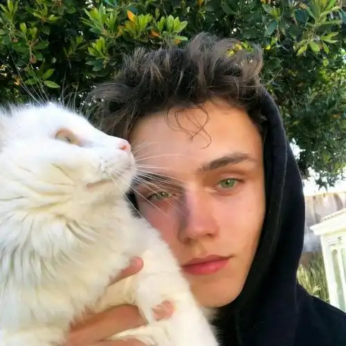 6686体育app签约作者Coral