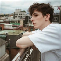 6686体育app钻石作者Steve