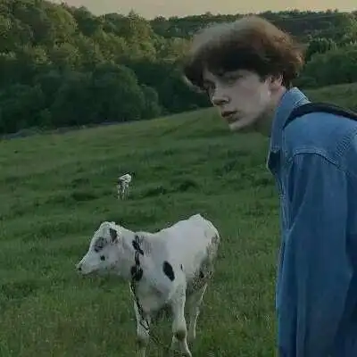 6686体育app初级作者Avery