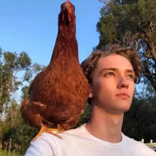 6686体育app海外作者Benjamin