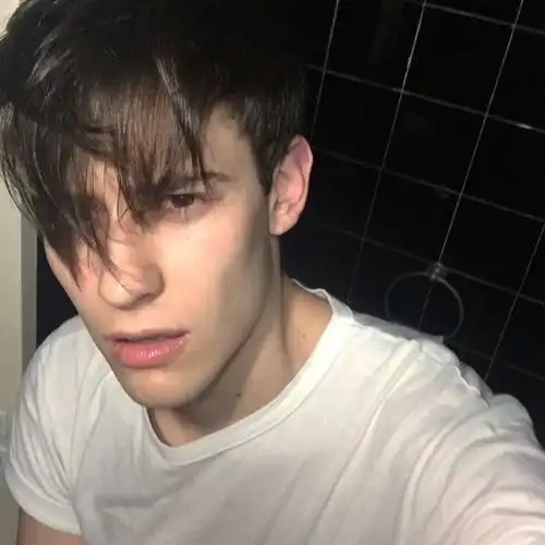 6686体育app高级作者Vega