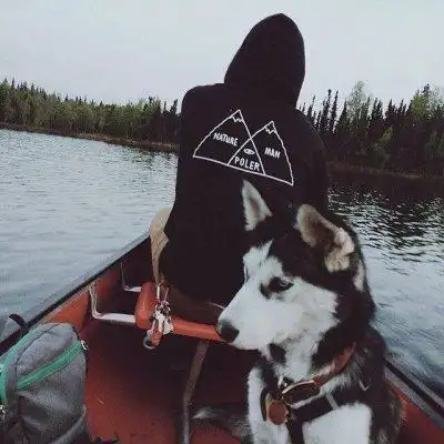 6686体育app初级作者Claire